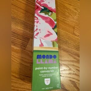 NWT Target Paint-by-Number Canvas Kit Flower Design Mondo Llama
